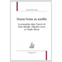 DONNER FORME AU SENSIBLE LA PERCEPTION DANS L’ŒUVRE DE PETER HANDKE, MALCOLM LOWRY ET CLAUDE SIMON