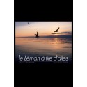 LEMAN A TIRE D AILES -LE-