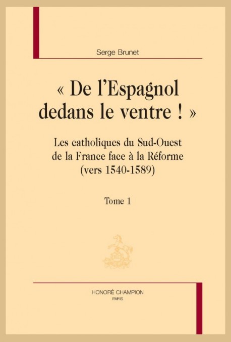 "DE L'ESPAGNOL DEDANS LE VENTRE!". LES CATHOLIQUES DU SUD-OUEST DE LA FRANCE FACE A LA REFORME VERS 1540-1589