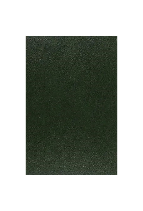 LE PRISONNIER DESCONFORTE DU CHATEAU DE LOCHES.