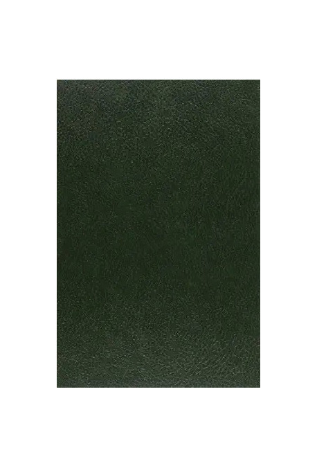 NOUVELLES FRANCAISES INEDITES DU QUINZIEME SIECLE. (1908).