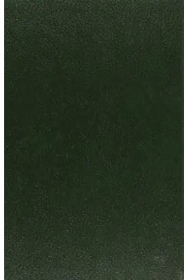 DOCUMENTS NOUVEAUX SUR LES MOEURS POPULAIRES ET LE DROIT DE VENGEANCE DANS LES PAYS-BAS AU XVE SIECLE.