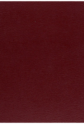 AUTOUR DE ROBERT CHALLE.