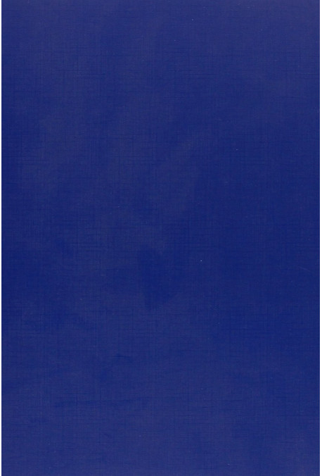 SAINT-JULIEN DE BALLEUR, HISTORIEN BOURGUIGNON, 1519-1593. (1926).