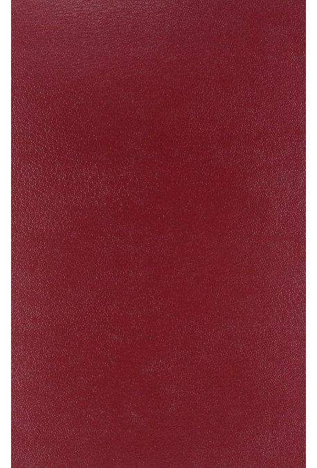 MOMUS PHILOSOPHE. RECHERCHES SUR UNE FIGURE LITTERAIRE DU XVIIIE SIECLE.