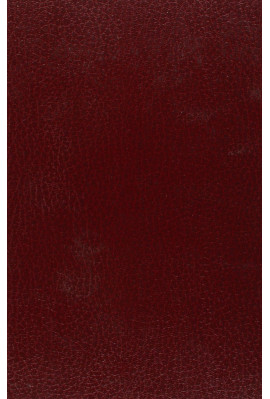 LE TESTAMENT DE MERLIN