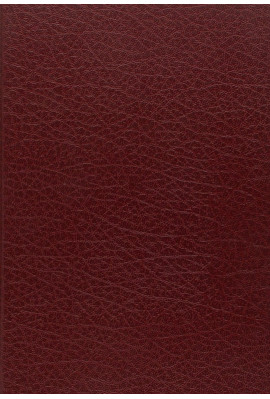 LA ROSE, RENART ET LE GRAAL. LA LITTERATURE ALLEGORIQUE EN FRANCE AU XIIIE SIECLE.