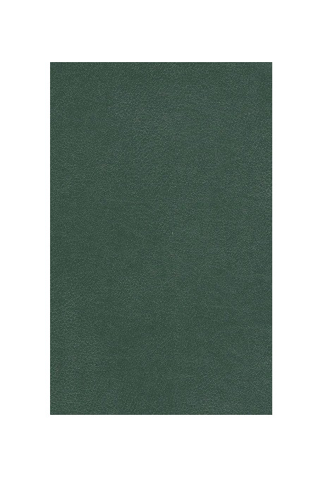 OEUVRES POETIQUES COMPLETES. TOME VII. NOUS TOUS, SONNAILLES ET CLOCHETTES