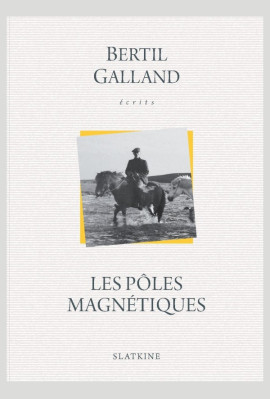 LES PÔLES MAGNÉTIQUES