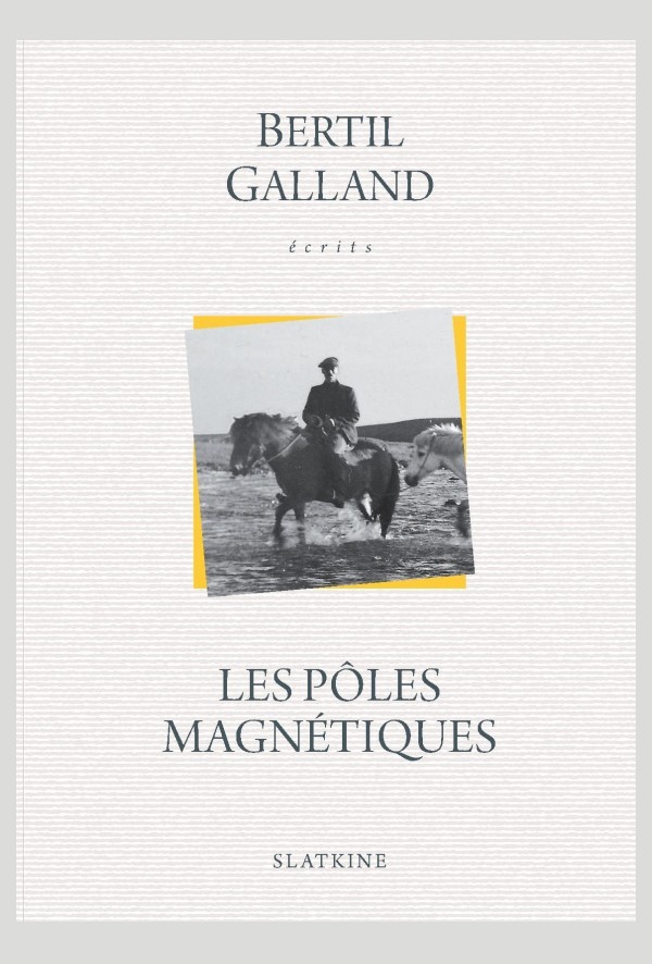 LES PÔLES MAGNÉTIQUES